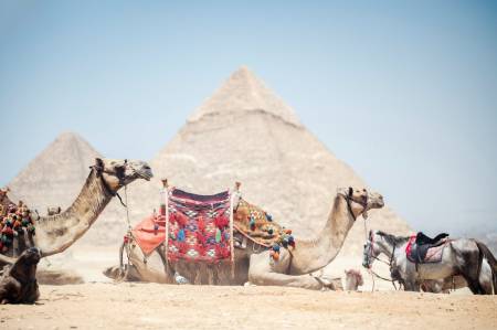 SEQUOIA Pyramids View3